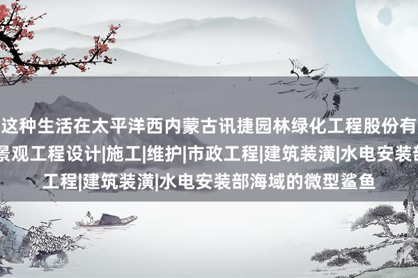 这种生活在太平洋西内蒙古讯捷园林绿化工程股份有限公司|园林绿化景观工程设计|施工|维护|市政工程|建筑装潢|水电安装部海域的微型鲨鱼